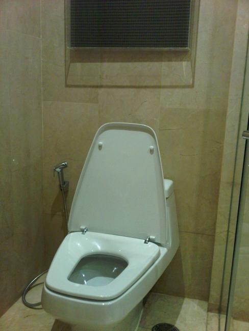 IMG00061-20100627-1657.jpg